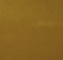 303