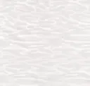 505