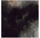 Deep Dark