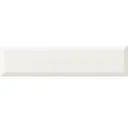 Artic White
