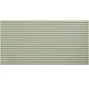 Neo Mint