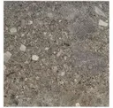Antracite
