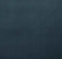 161
