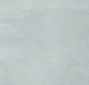 101