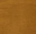 113