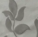 205