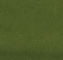 224