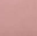 292