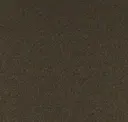 Sable