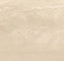 Avorio