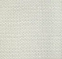 Birch