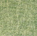 Meadow
