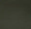 Loden