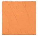 Cantaloupe