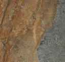 Polychrome