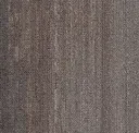 Cmp145 Bone