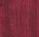 Cmp168 Carnation