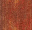 Cmp33 Impasto