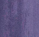 Cmp38 Stipple