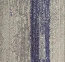 Cmp38/171 Celestial/stipple
