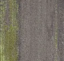 Cmp166/165 Chamois/crayon