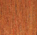Salsa