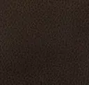 Cocoa