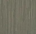 Mondo