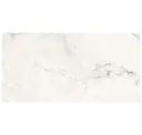 Calacatta Extra White