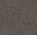 Iron