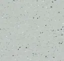 Arctic
