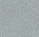 Petrified Gray
