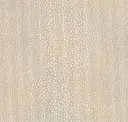 Cream Moonstone