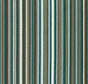 Teal Damselfly