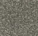 Nokota Grey