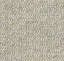 Marram Grass