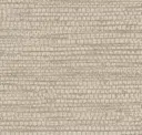 Conus Beige