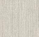 Desert Sand