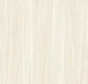 Poplar