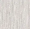 Sycamore