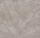 Tinted Taupe