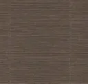 Robusta