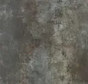 Coal
