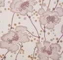 Cosmos