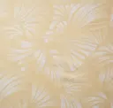 Koi