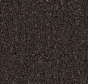 Coal