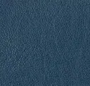 Oceano