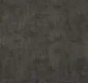 Layer