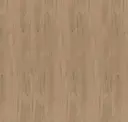 Hazelnut
