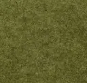 Moss